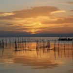 Albufera de Valencia