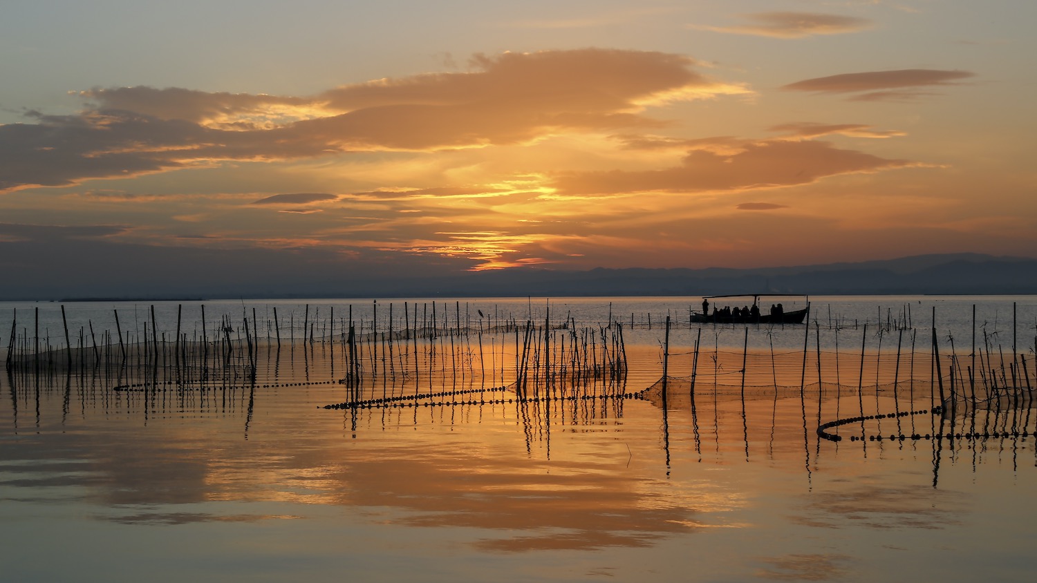 paseo en barca por la albufera de valencia