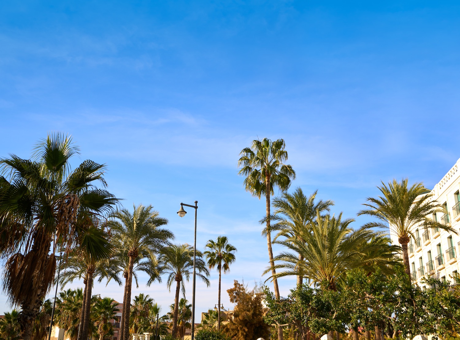 paseo marítimo malvarrosa