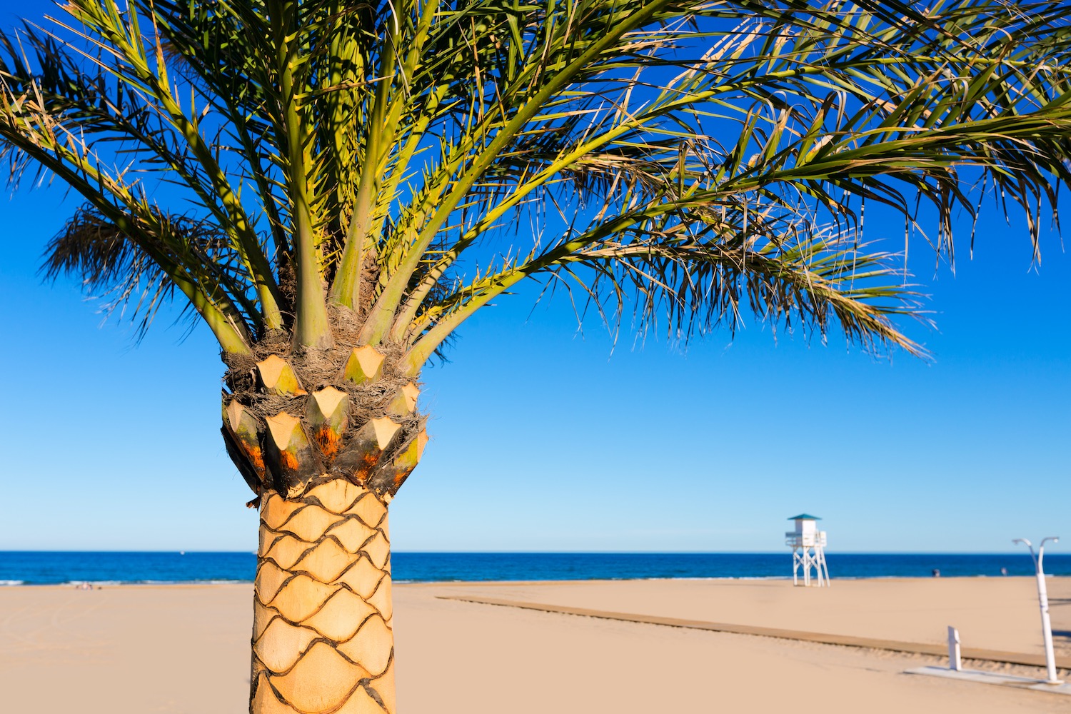 playa de gandia en valencia