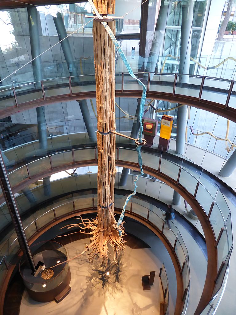 arbol museo de las ciencias barcelona