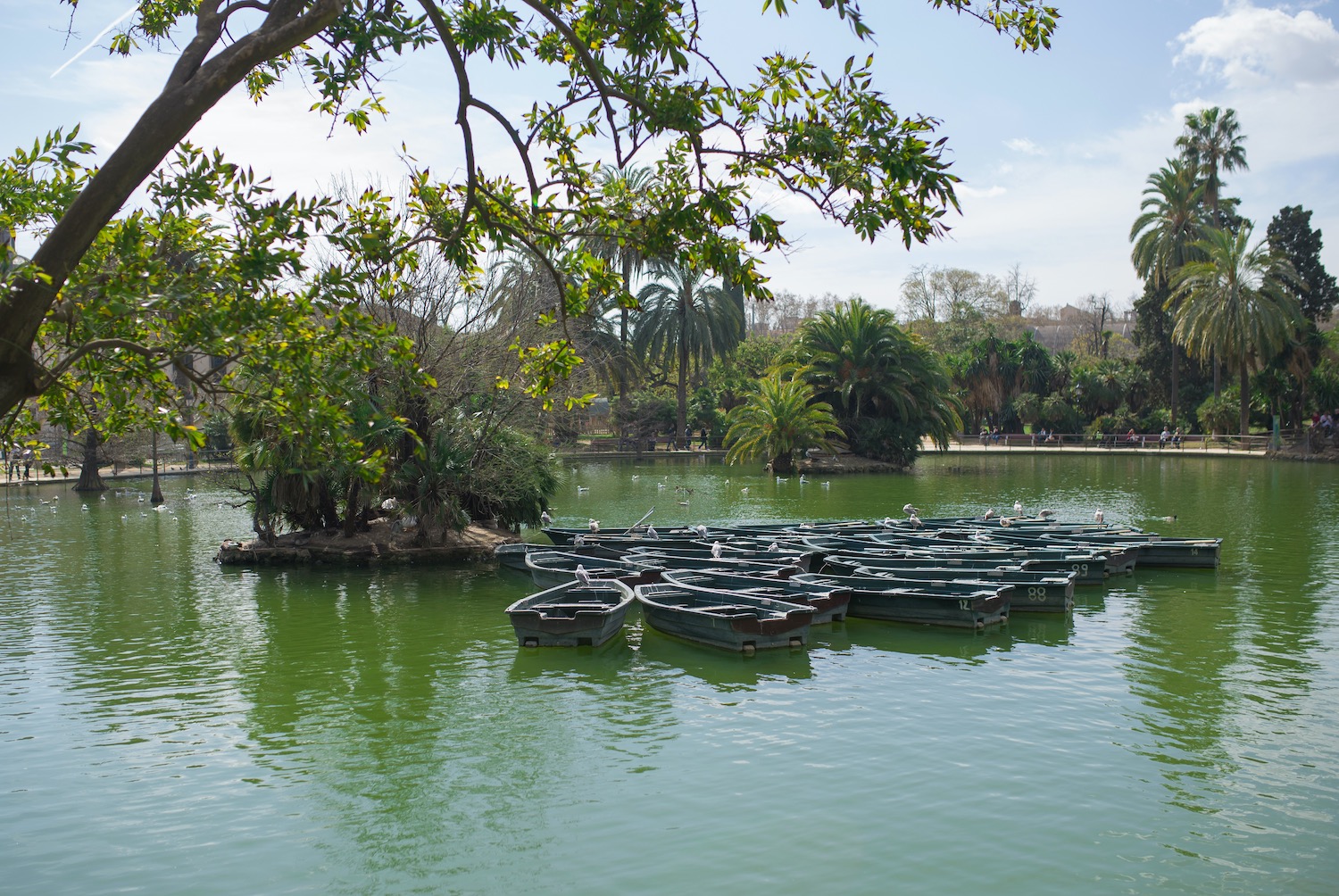 barcas en el parc de la ciutadella