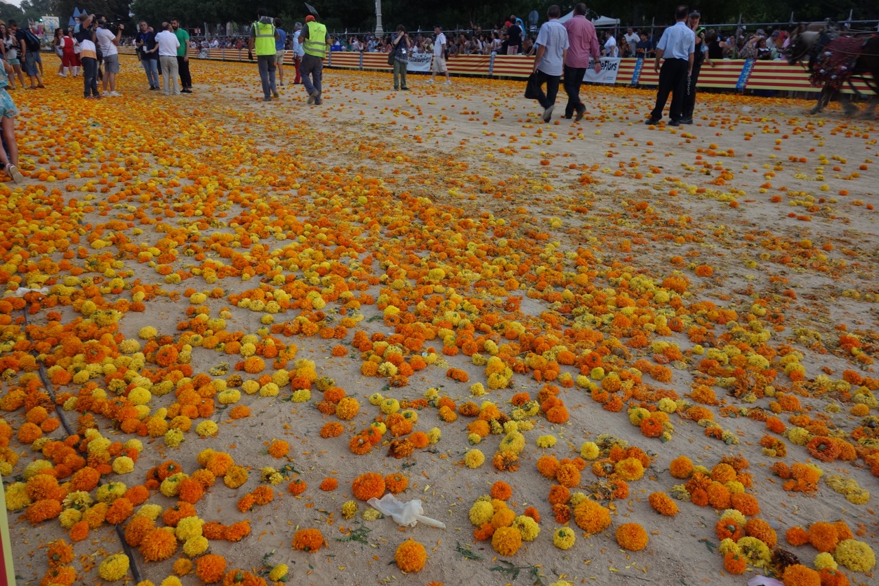 batalla de flores valencia