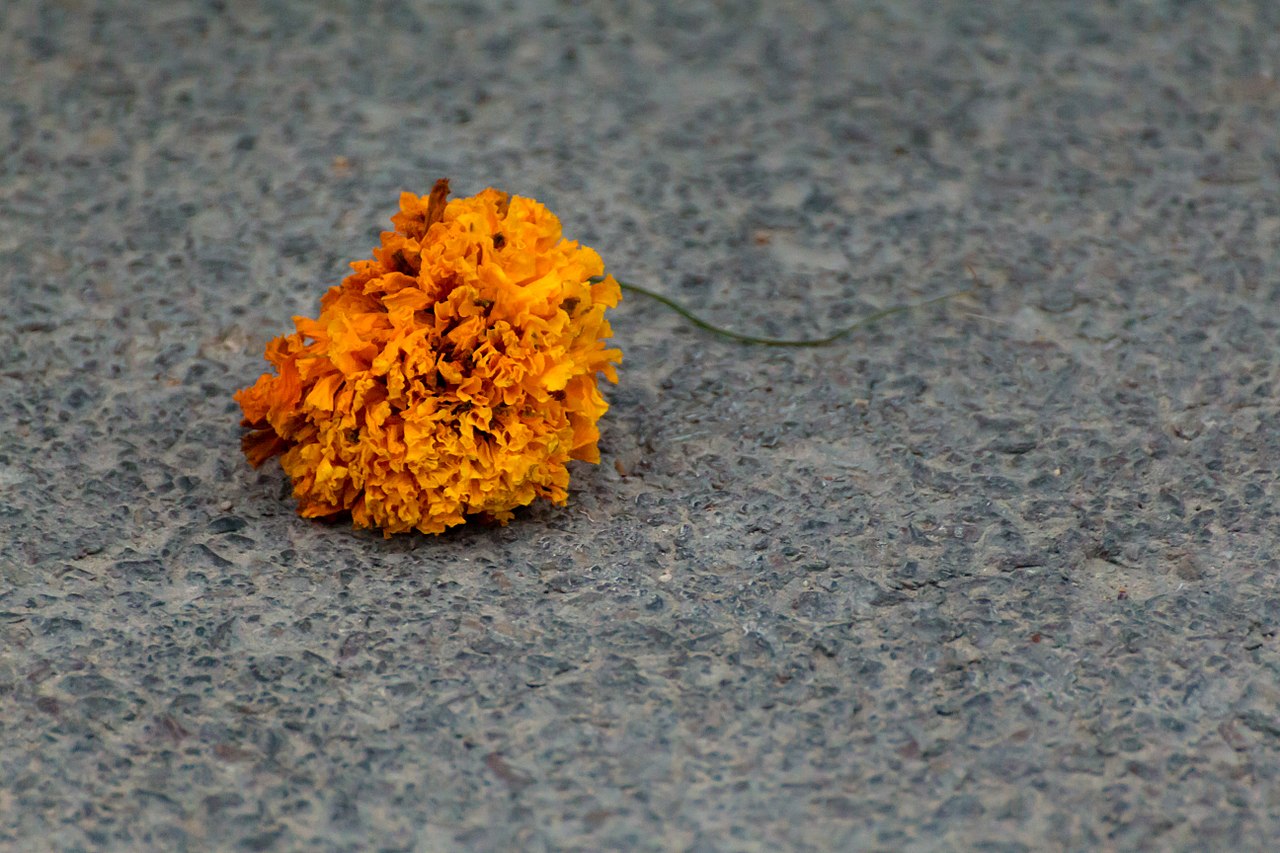 batalla de flors valencia