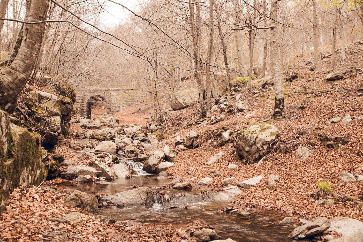 parque natural del montseny