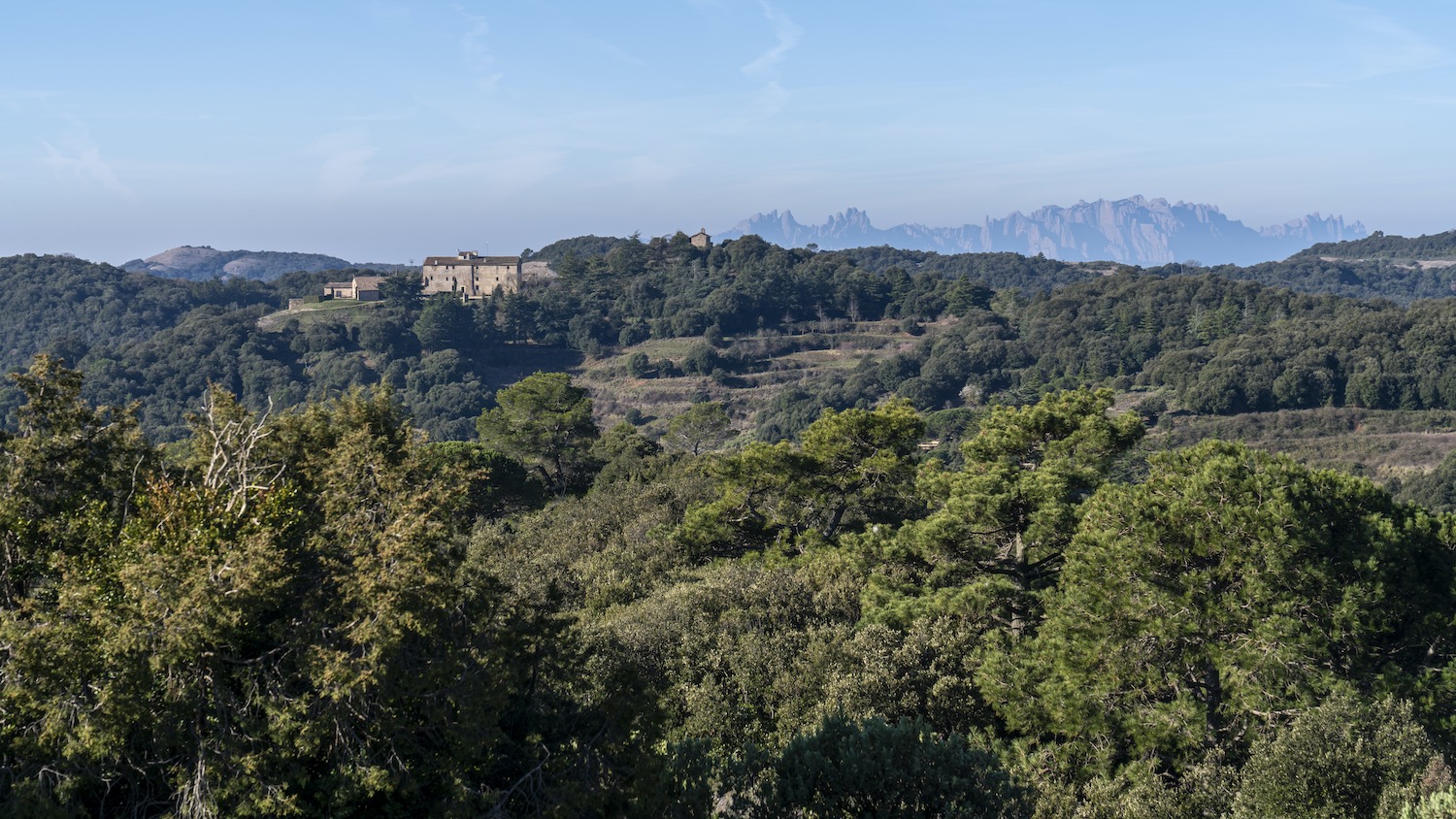 cima sant llorens munt