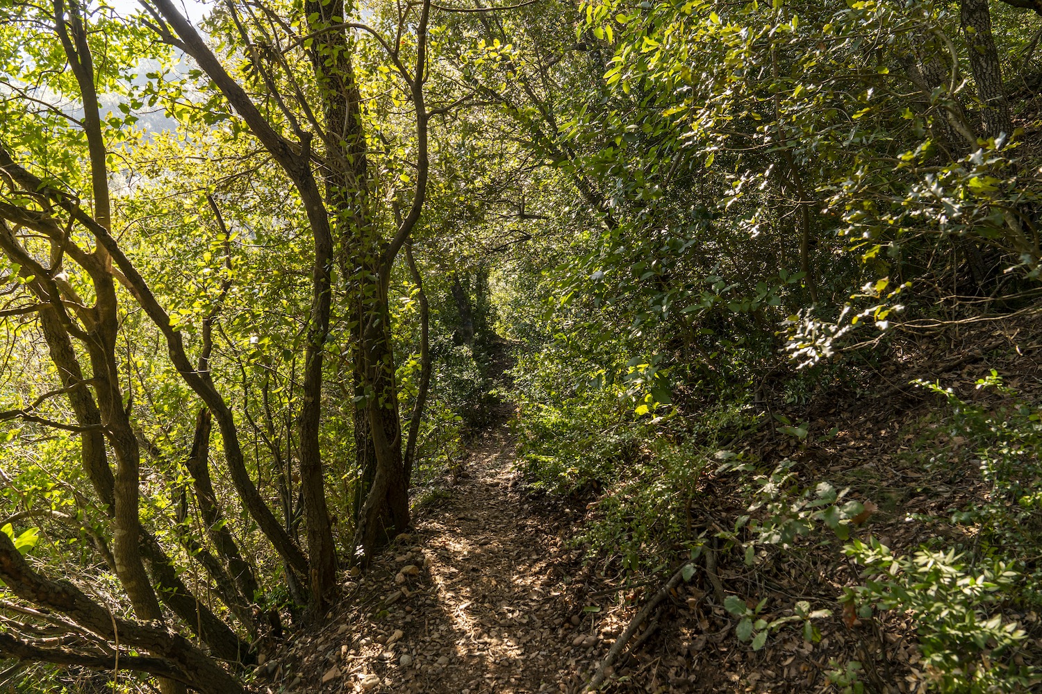 ruta subida a la mola