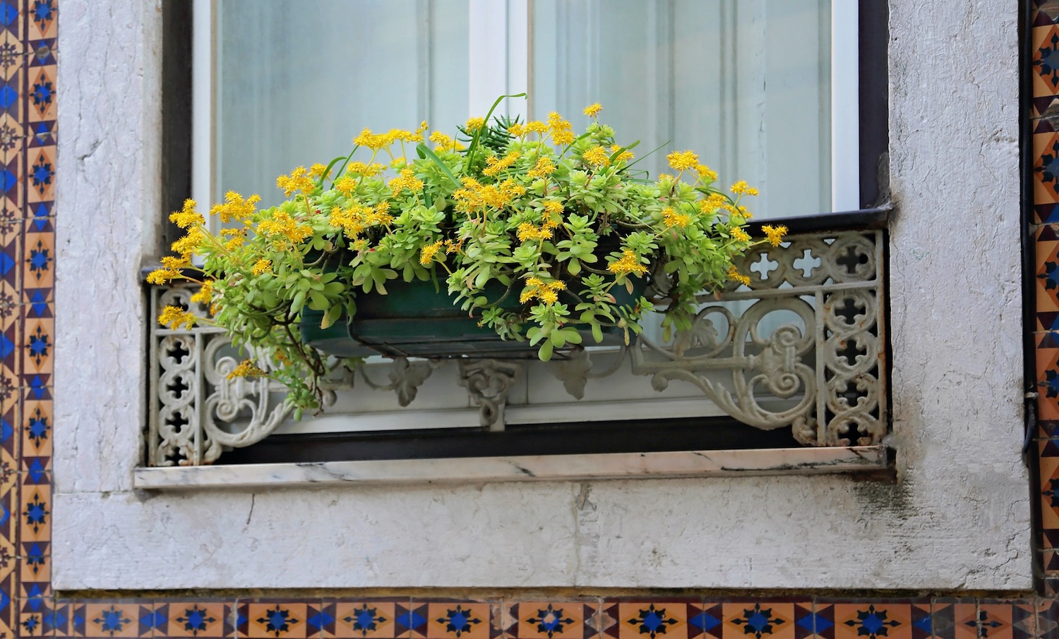 Flores en balcón del Barrio Alto de Lisboa