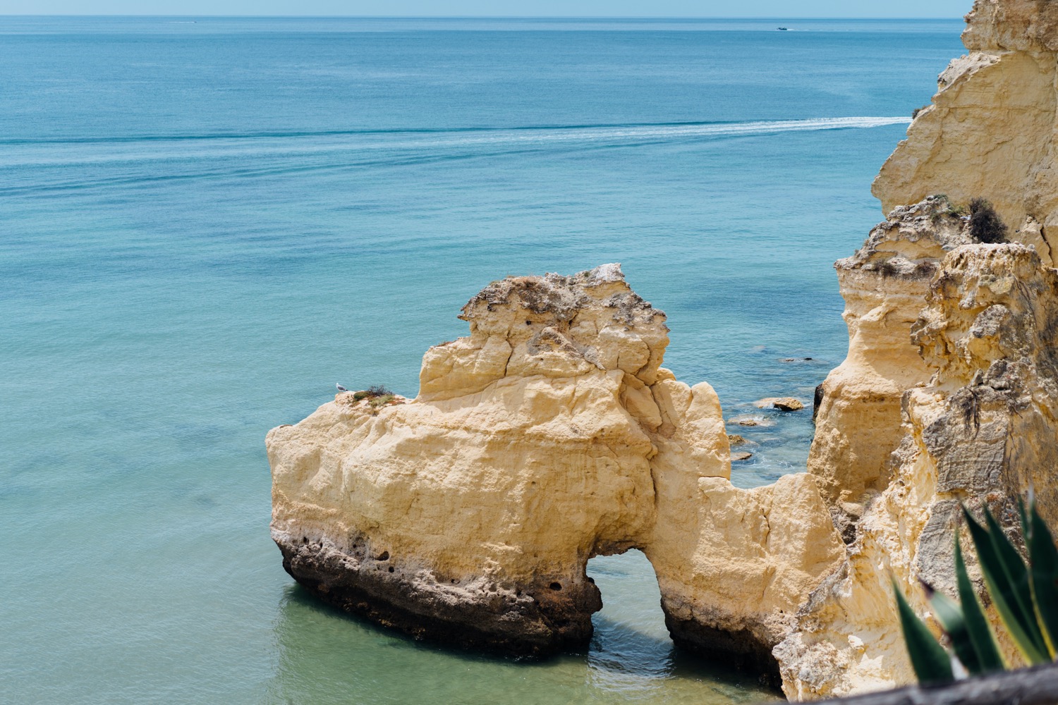 Playa del algarve