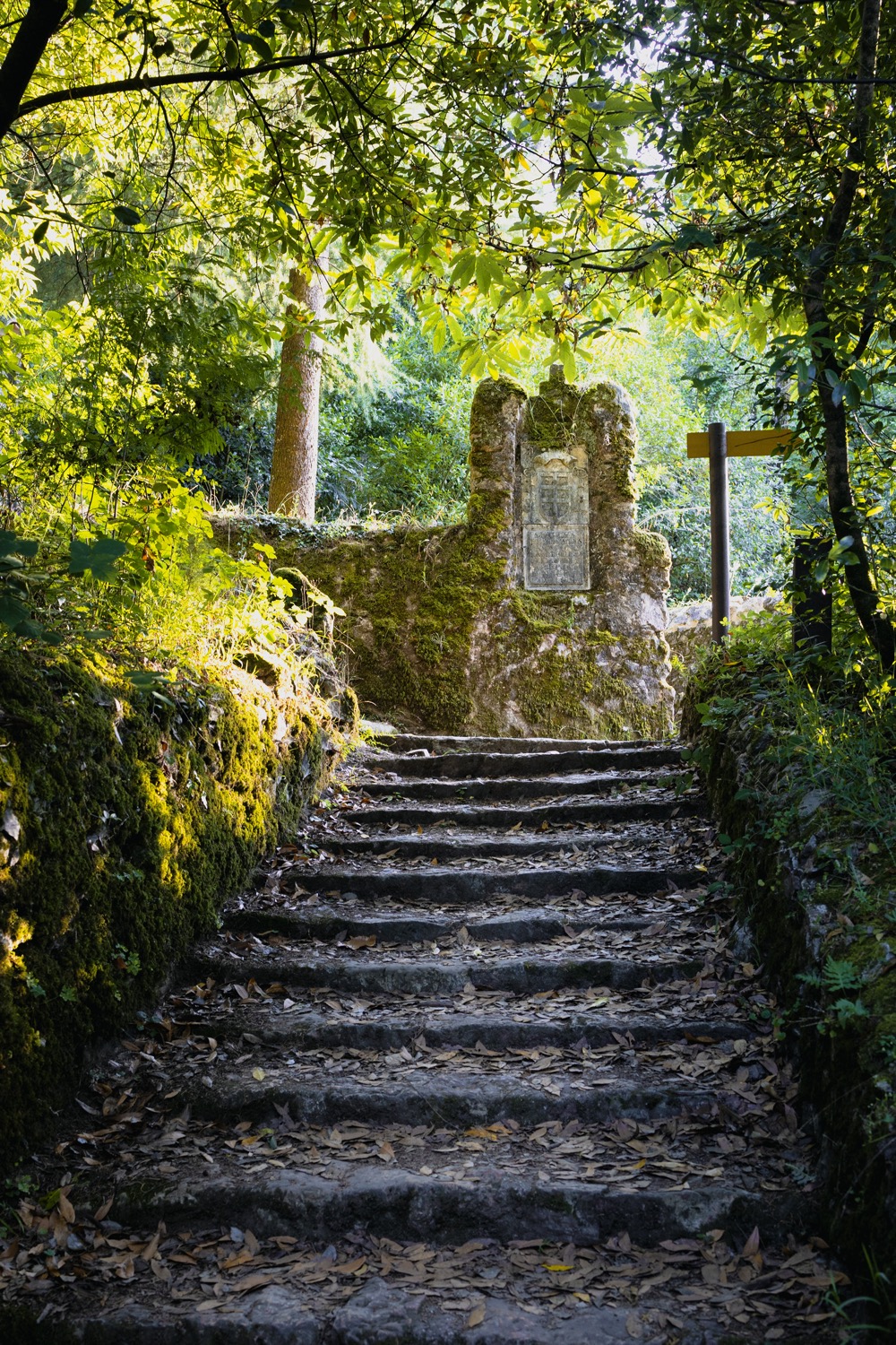 bosque del bussaco