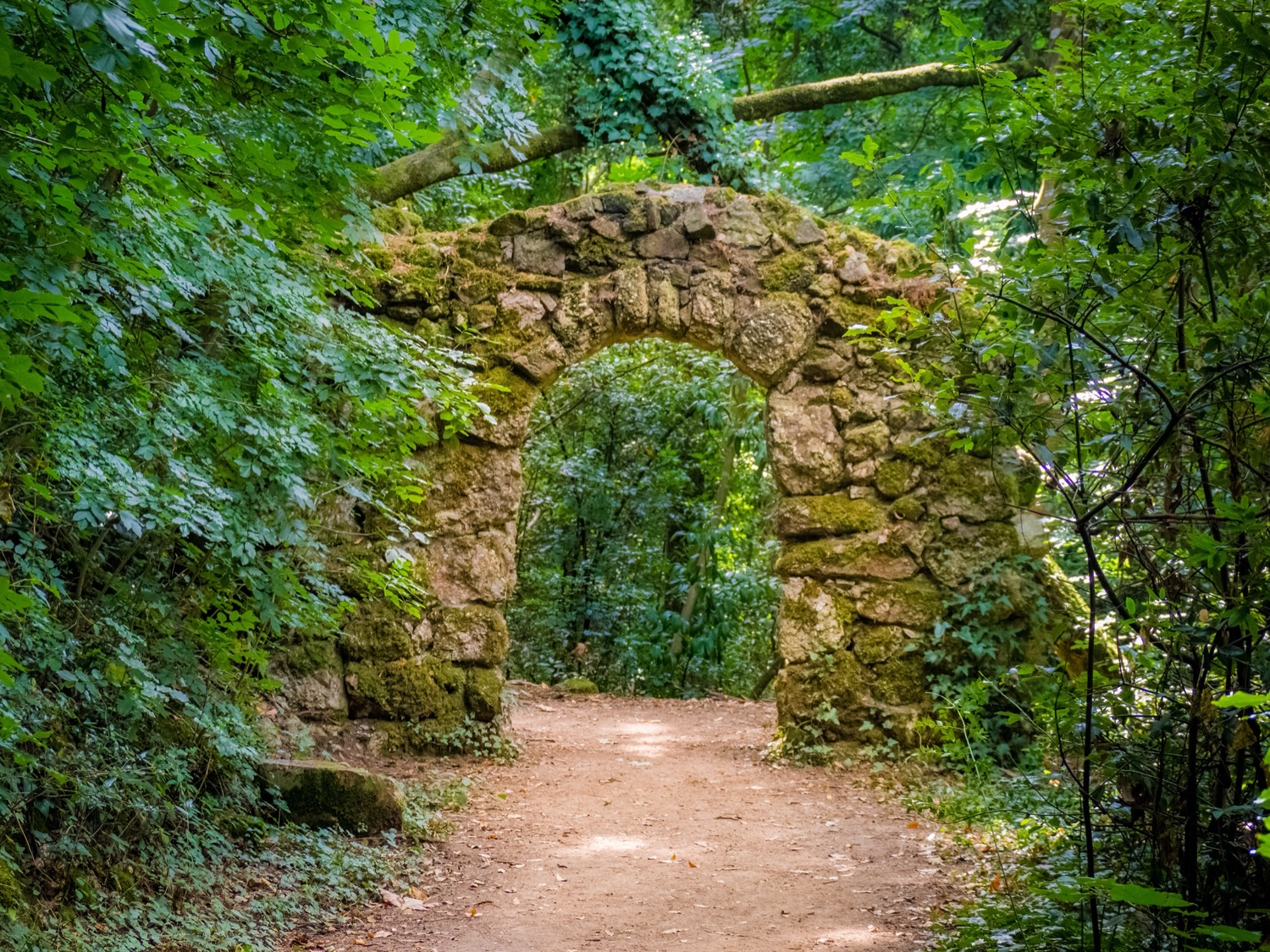 bosque del buzaco