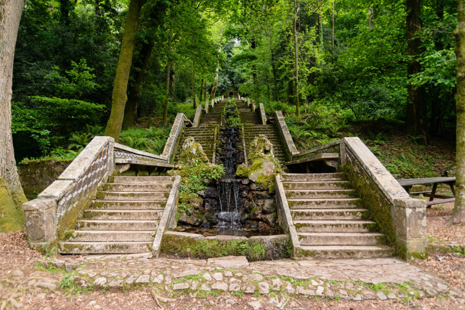 Bosque de Busaco