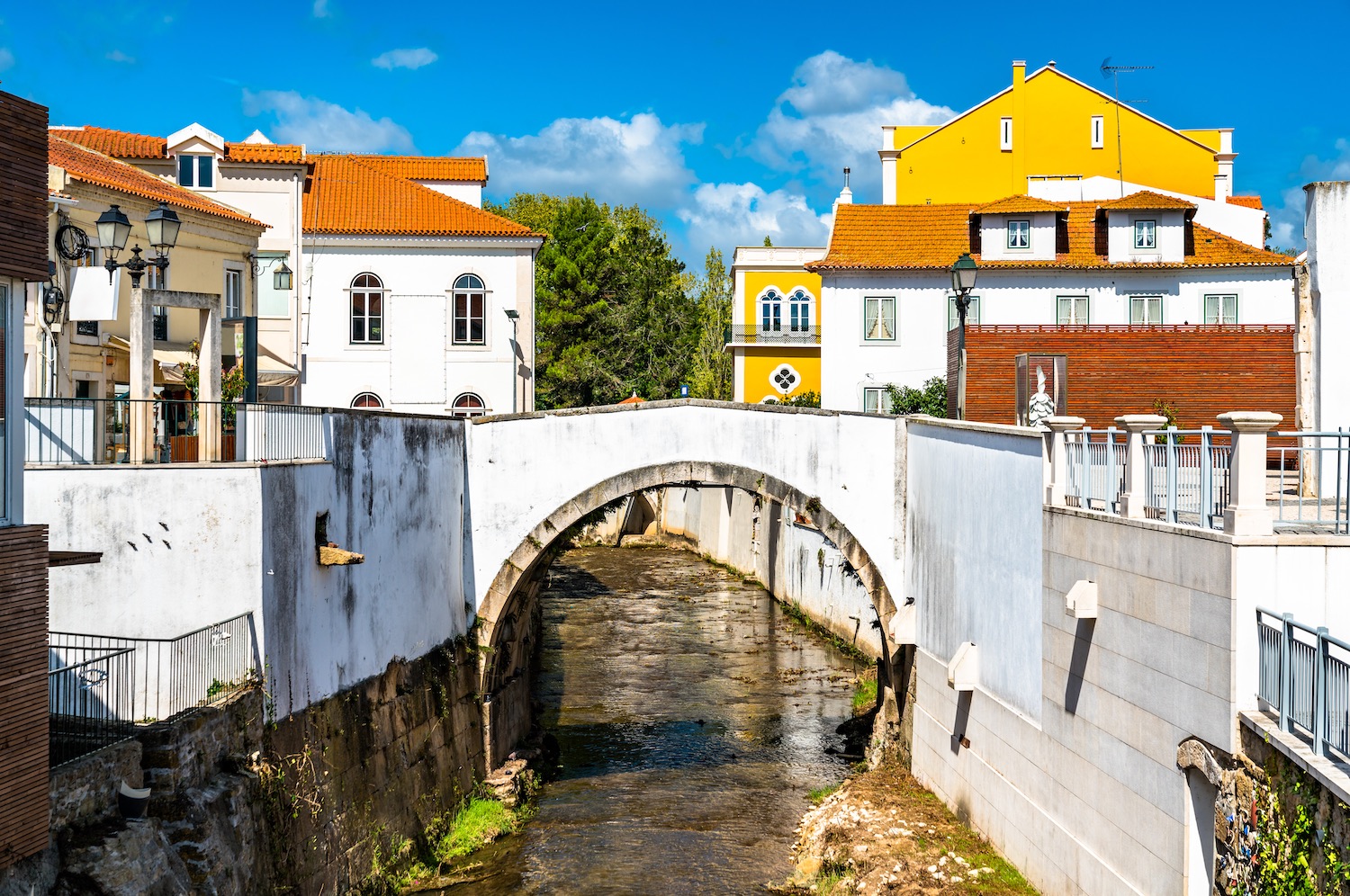 Puente en alcobaça