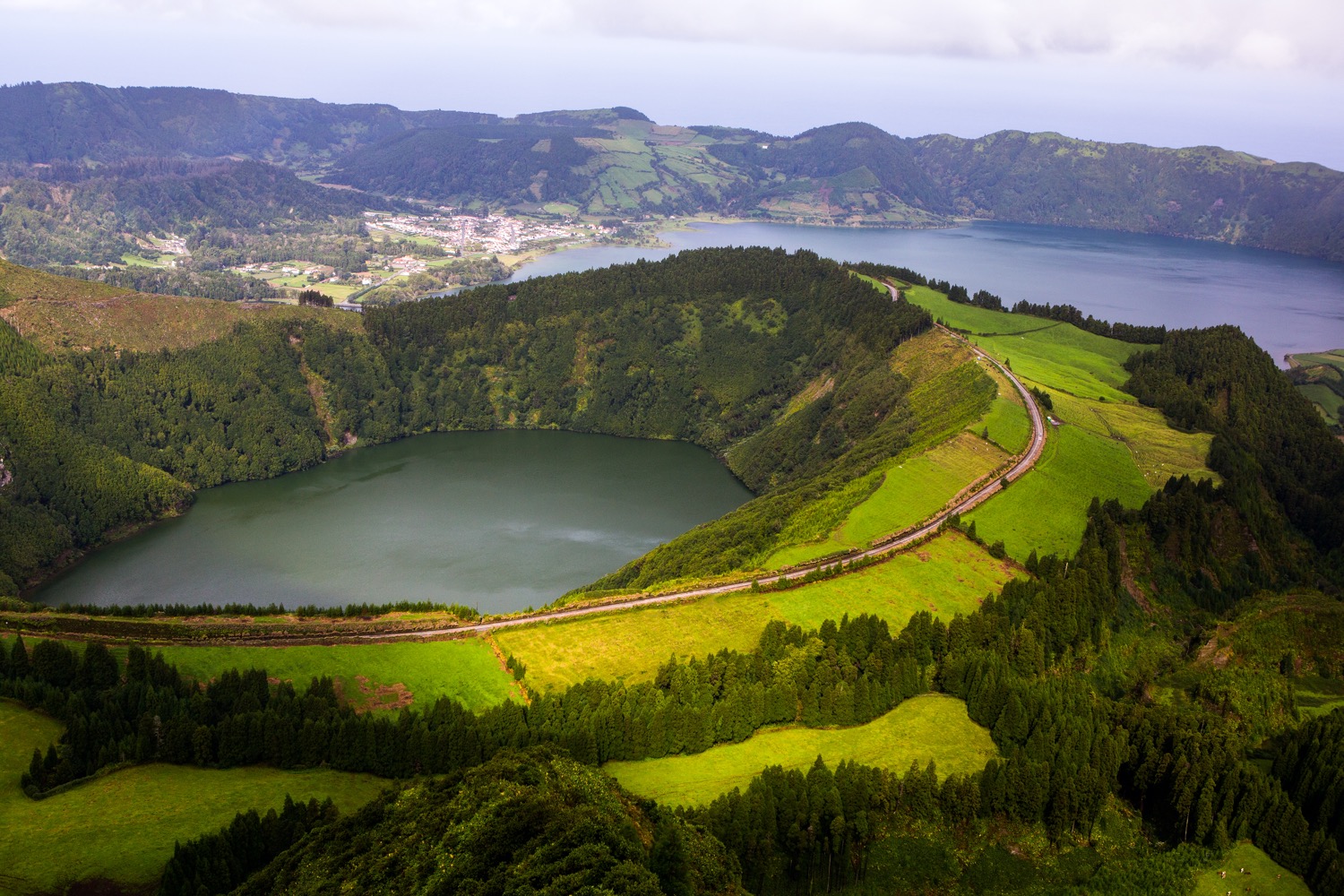 Flora en las Azores