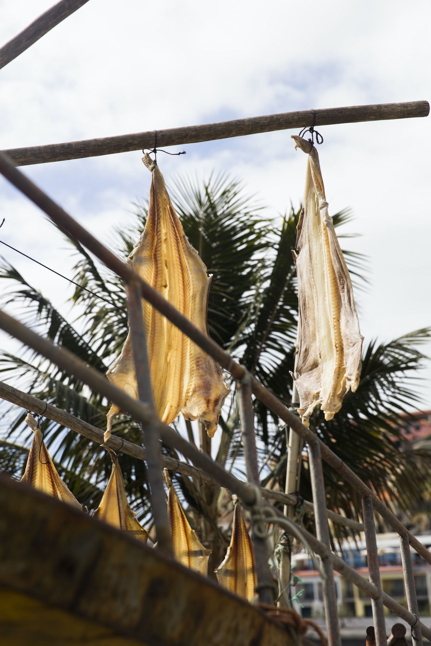 Bacalao en Cámara de Lobos