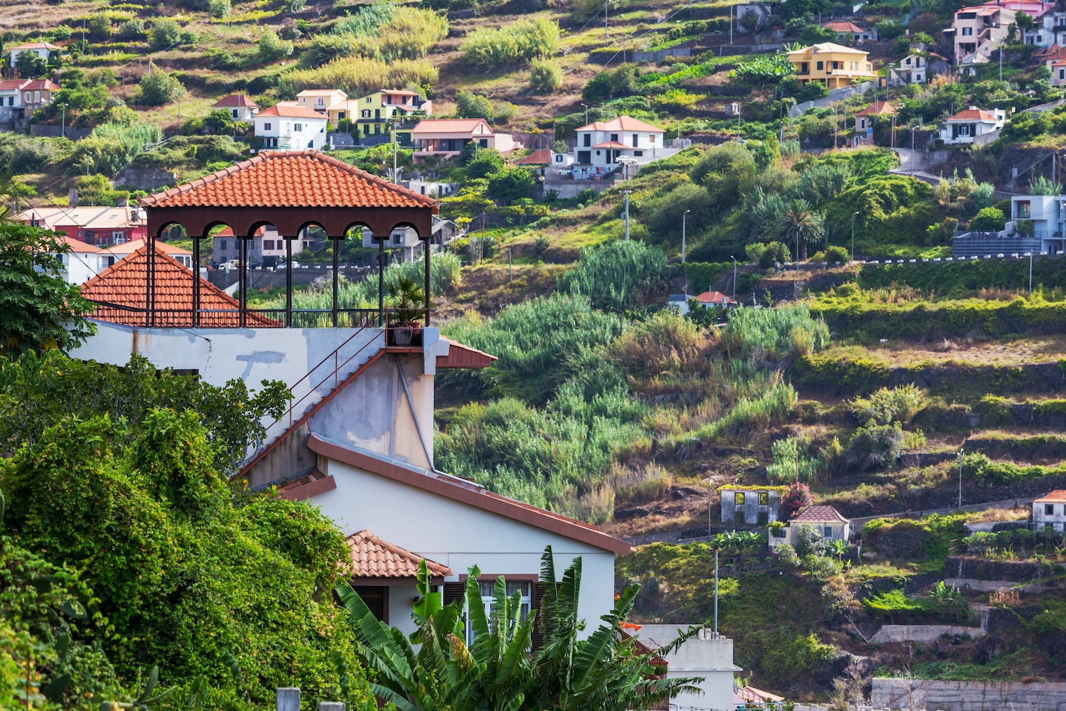 Vista de Madeira