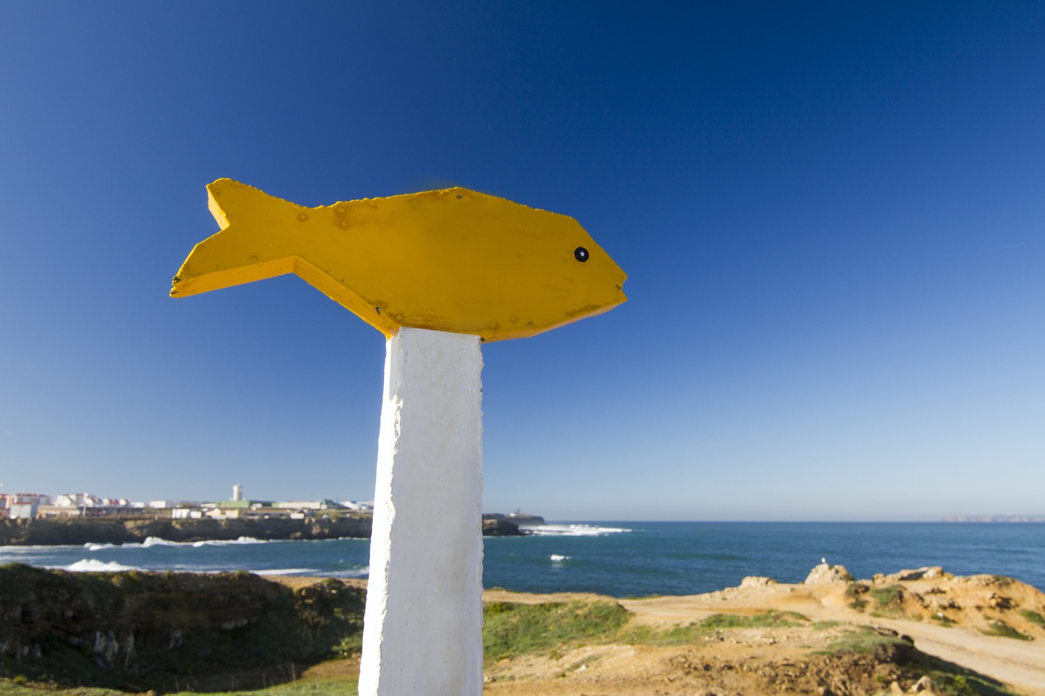 Sardinas en peniche