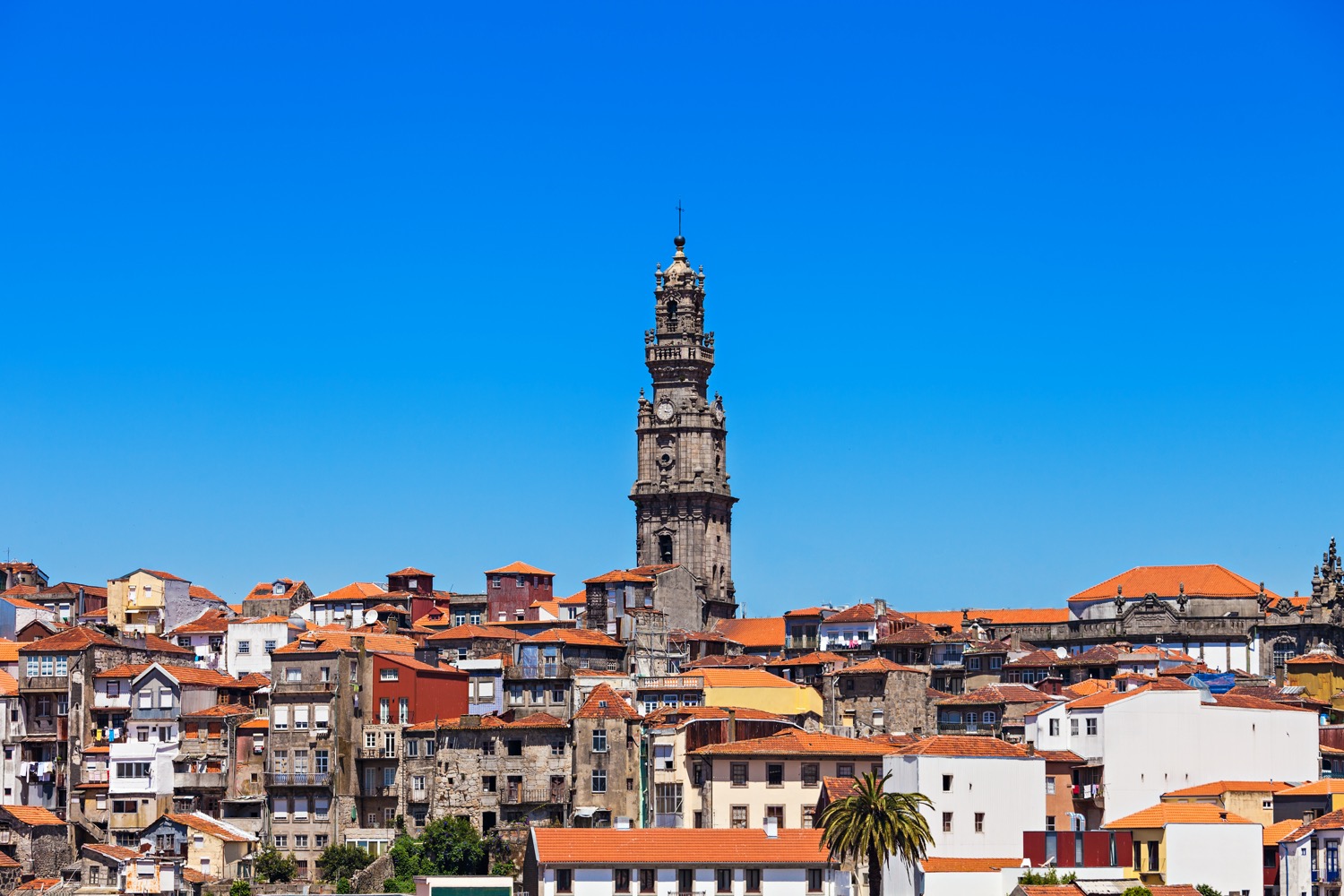 Torre de los Clérigos en Oporto