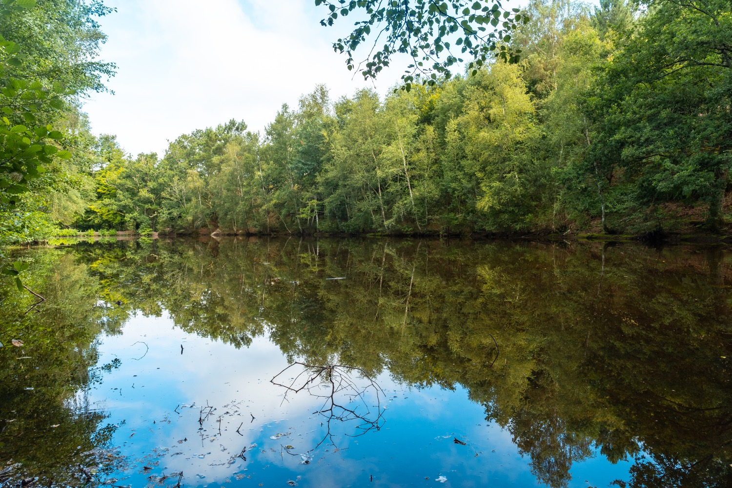 lago de las hadas en el bosque de broceliande