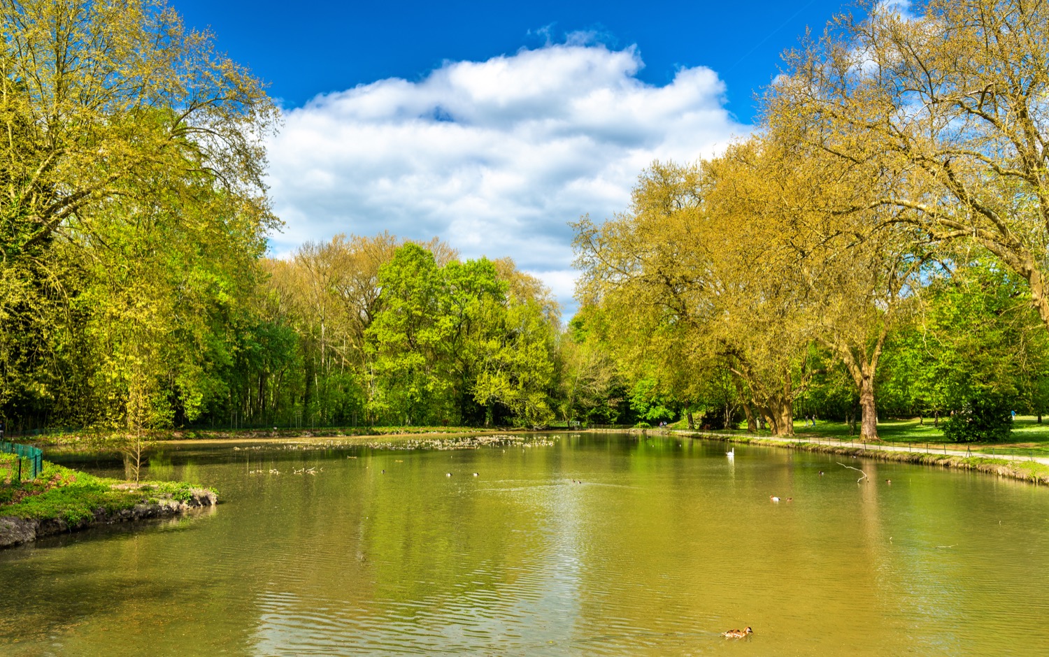 Lago del Castillo de Cheverny