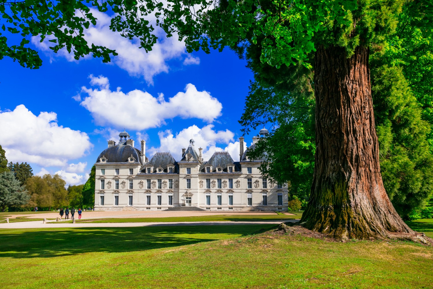 Castillo de Cheverny