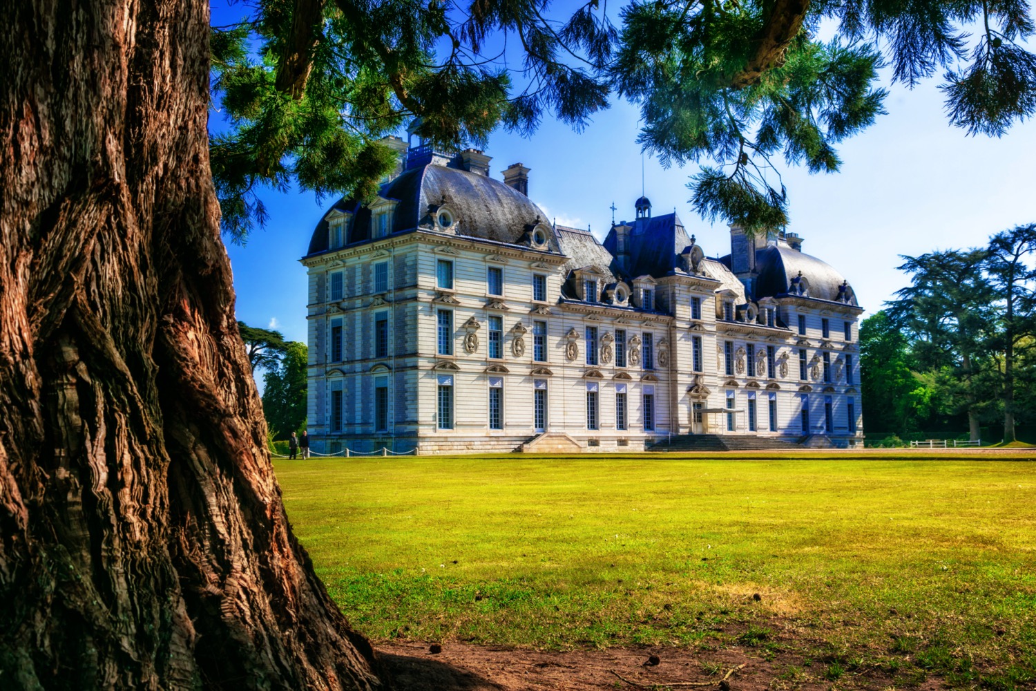 Jardines del castillo de Cheverny