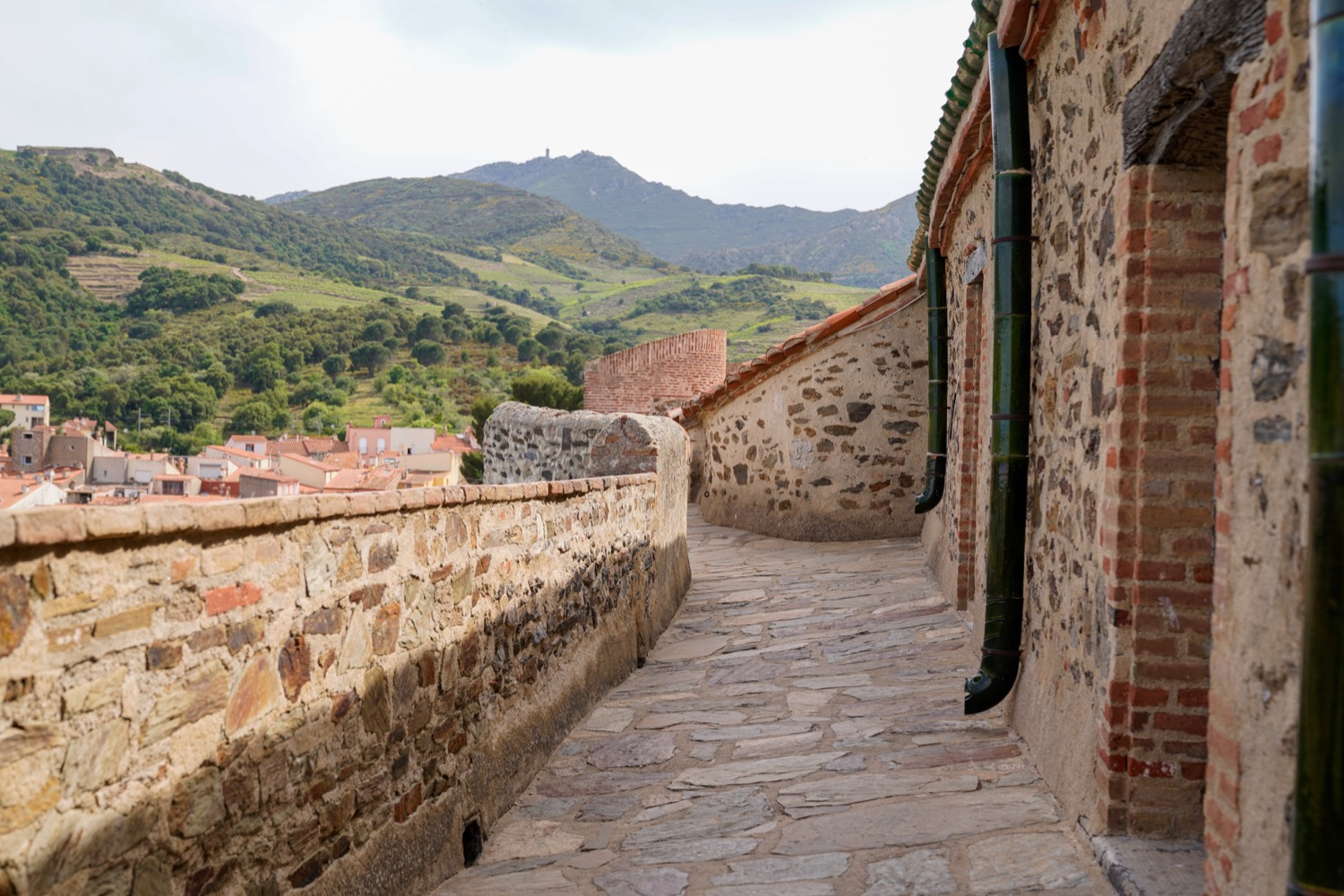 Collioure