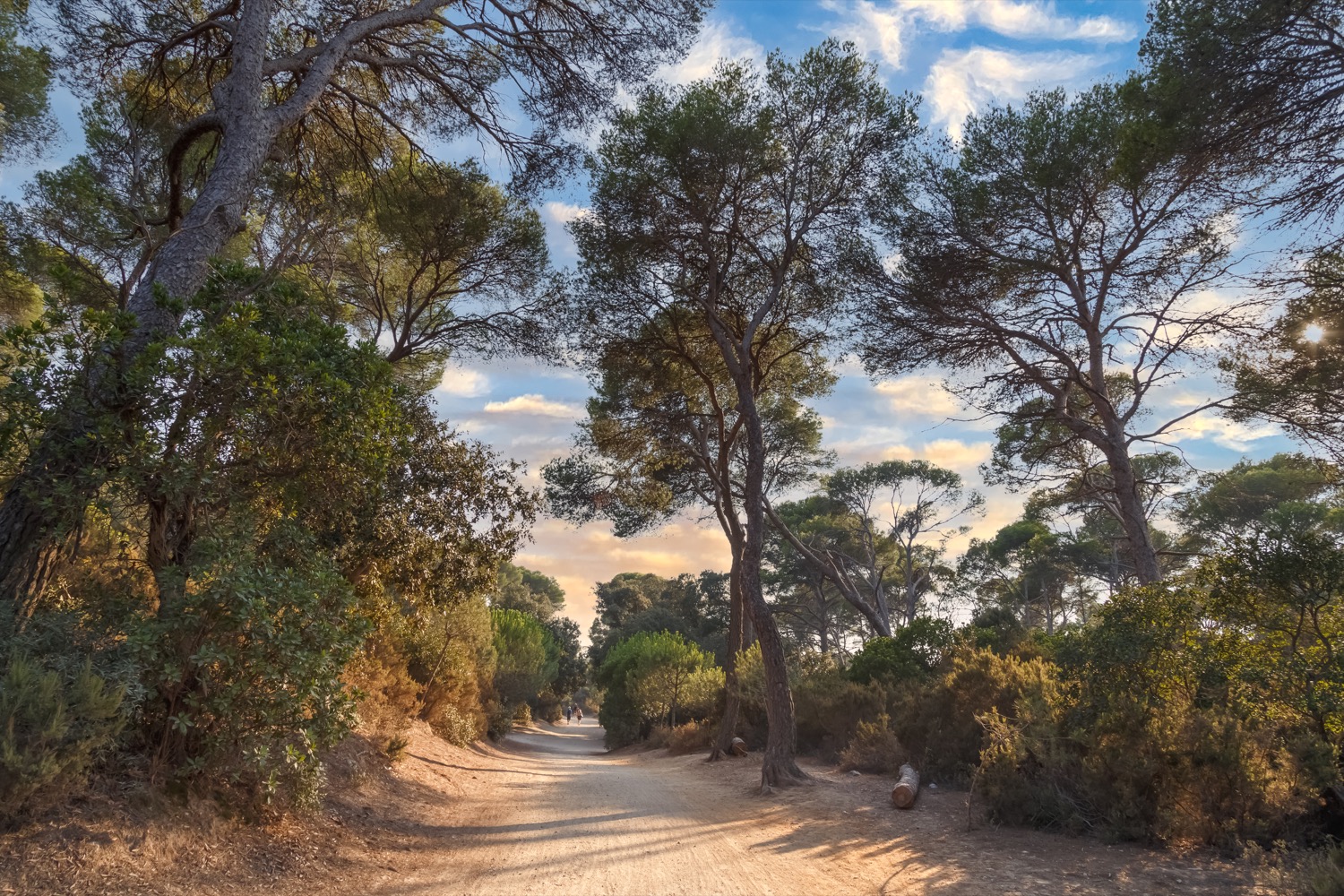 Isla de Porquerolles