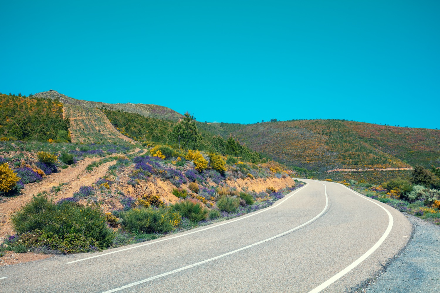 Carretera de montaña del parque natural serra da estrela