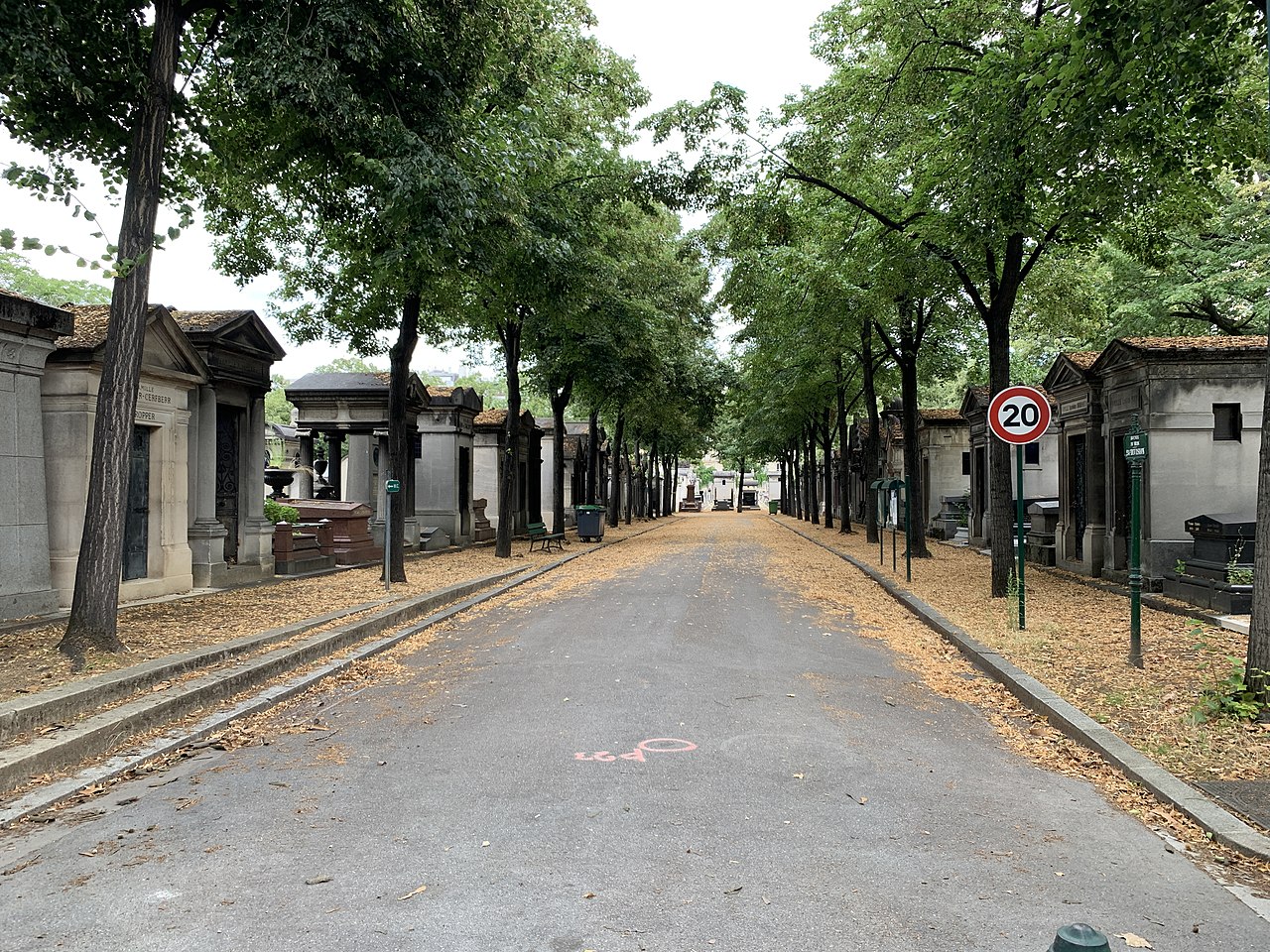 avenida en Cementerio de Montparnasse