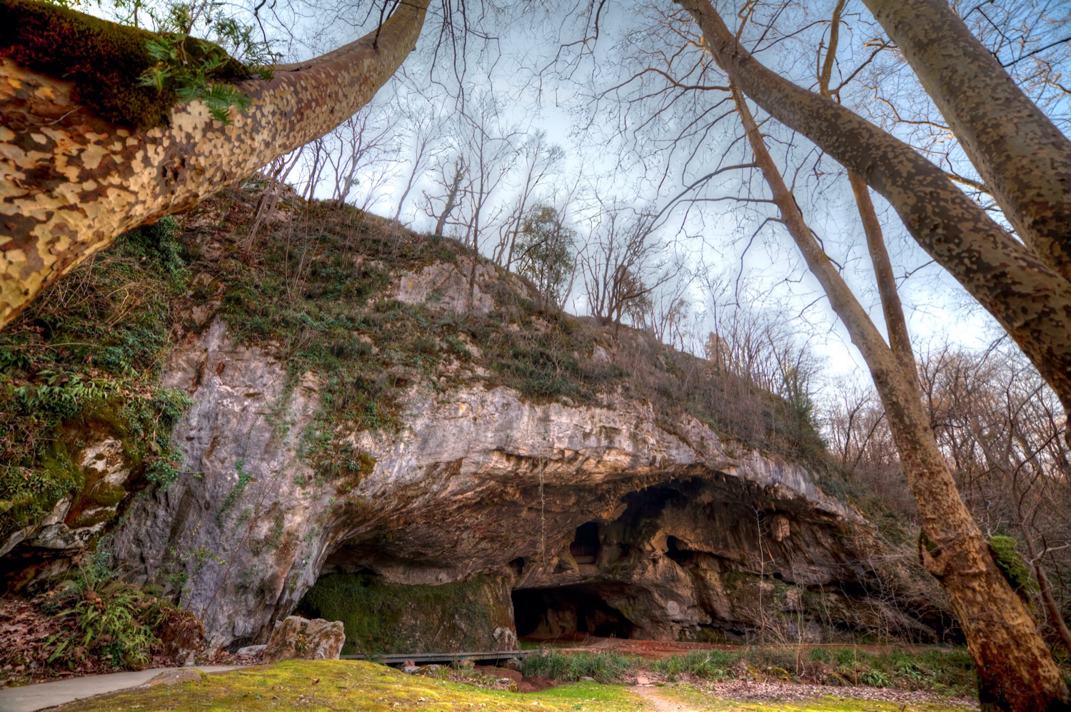 Cuevas de Sara