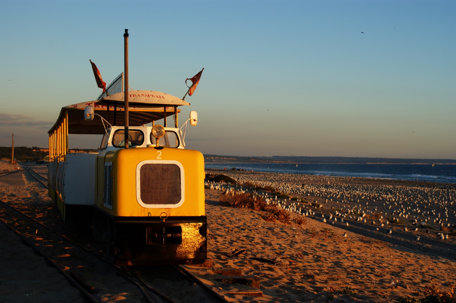 Transpraia, tren por las playas de caparica