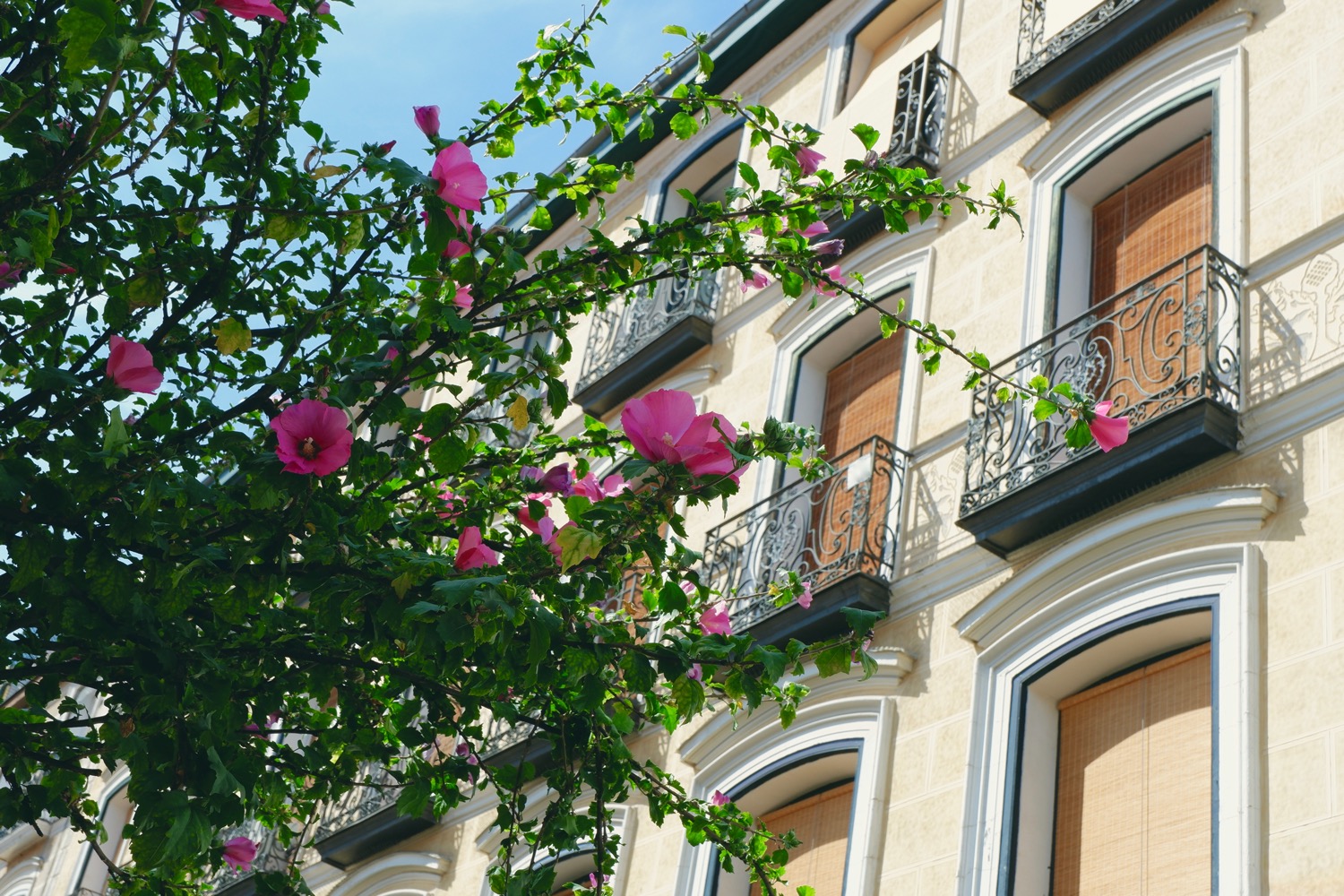 Casas en el barrio de chueca