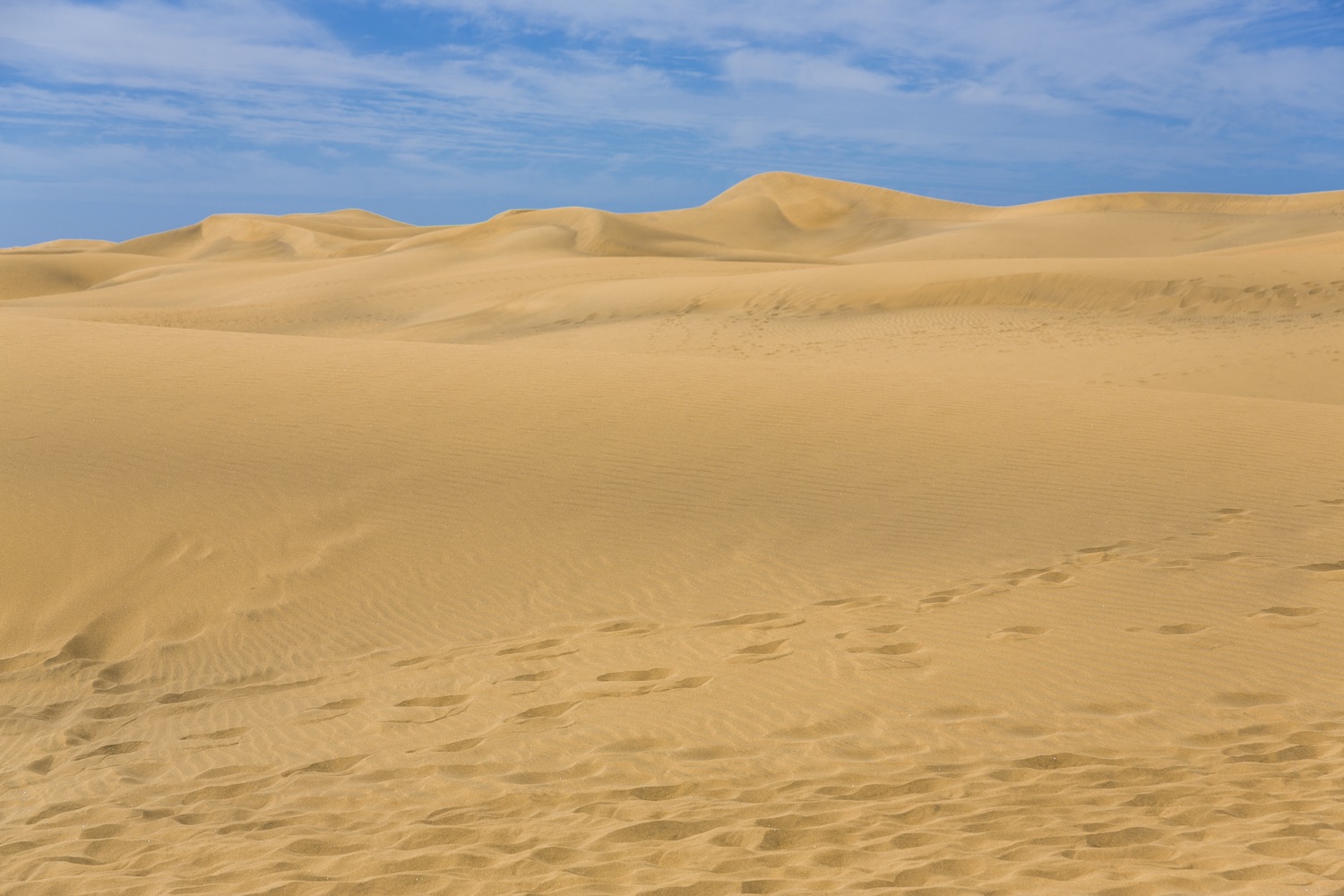 arena de maspalomas